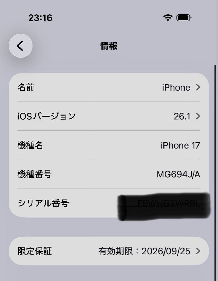 Apple iPhone17 ミストブルー 256GB 状態綺麗simフリー無印