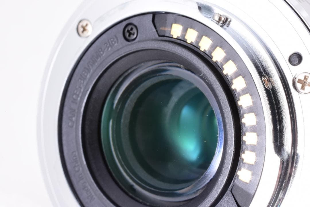 【手振れ補正】パナソニック PEN・LUMIXシリーズ 35-100mm 望遠