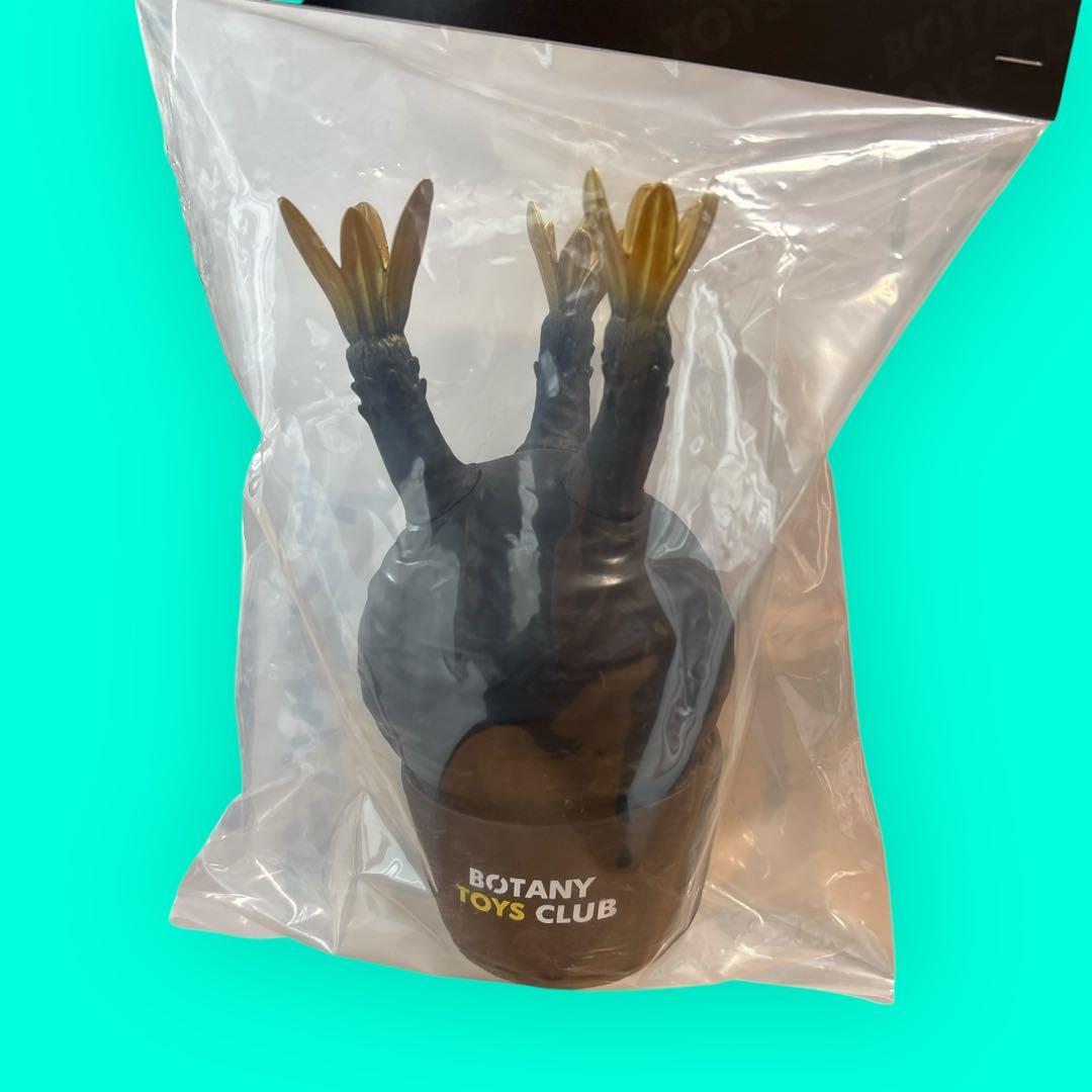 新品⭐︎限定カラー BOTANY TOYS CLUB パキポディウム グラキリス⭐︎