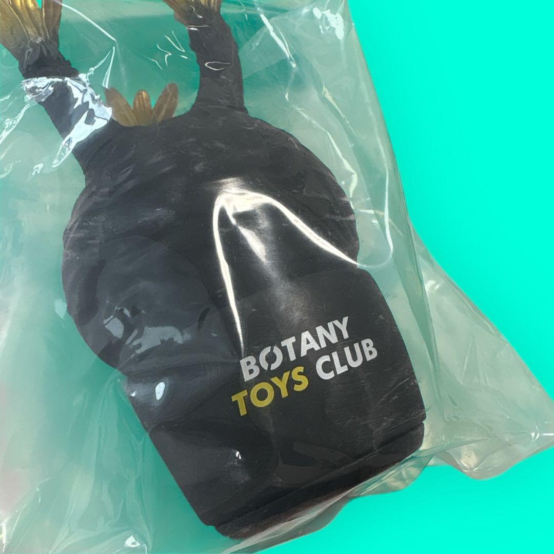 新品⭐︎限定カラー BOTANY TOYS CLUB パキポディウム グラキリス⭐︎