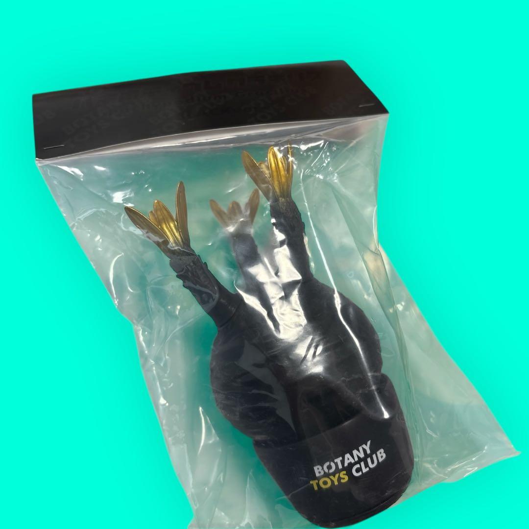 新品⭐︎限定カラー BOTANY TOYS CLUB パキポディウム グラキリス⭐︎