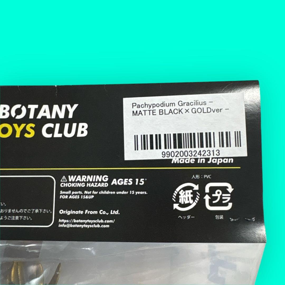 新品⭐︎限定カラー BOTANY TOYS CLUB パキポディウム グラキリス⭐︎