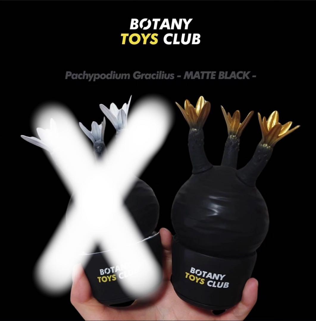 新品⭐︎限定カラー BOTANY TOYS CLUB パキポディウム グラキリス⭐︎