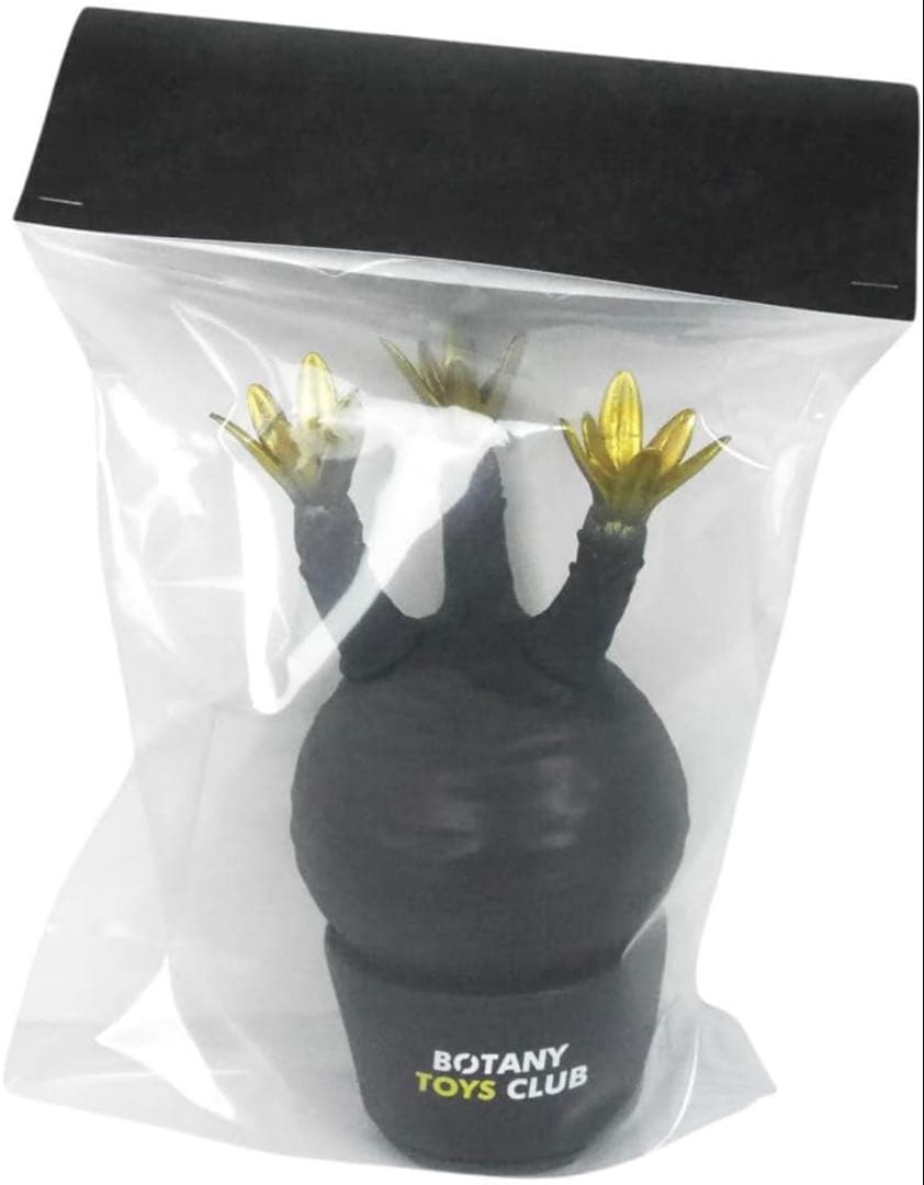 新品⭐︎限定カラー BOTANY TOYS CLUB パキポディウム グラキリス⭐︎