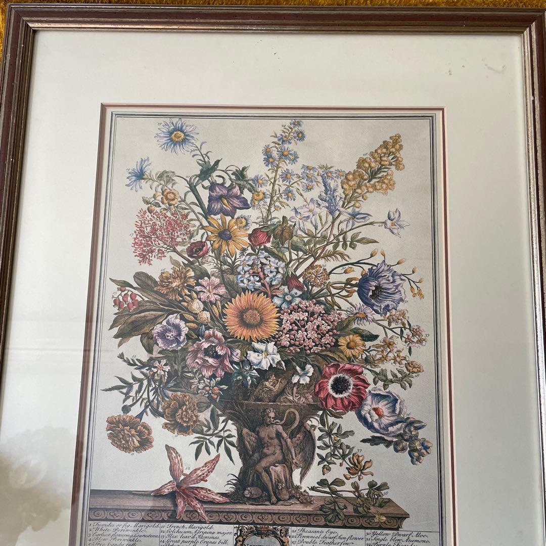 貴重！特大アメリカアンティーク11月ボタニカルアート　花の壁掛けイギリスガーデン