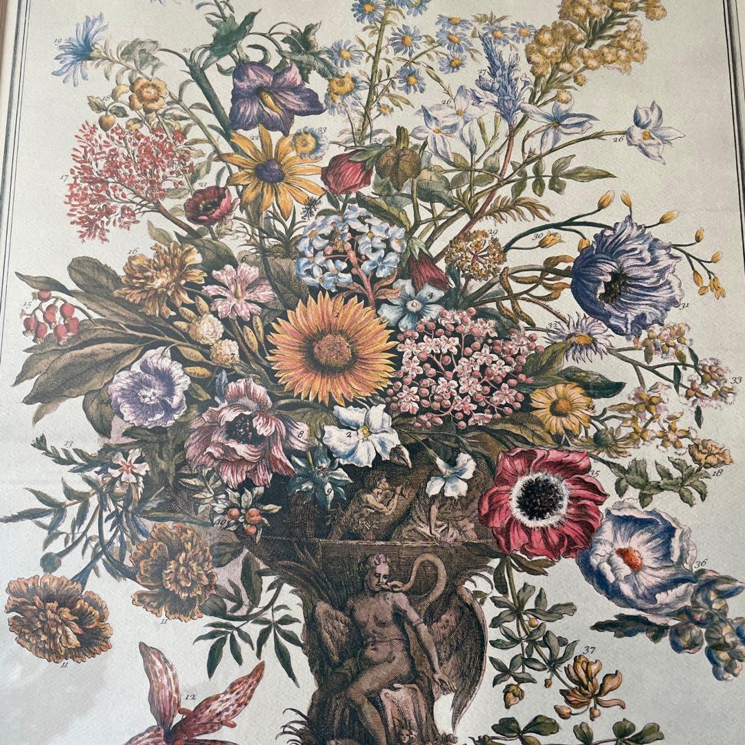貴重！特大アメリカアンティーク11月ボタニカルアート　花の壁掛けイギリスガーデン