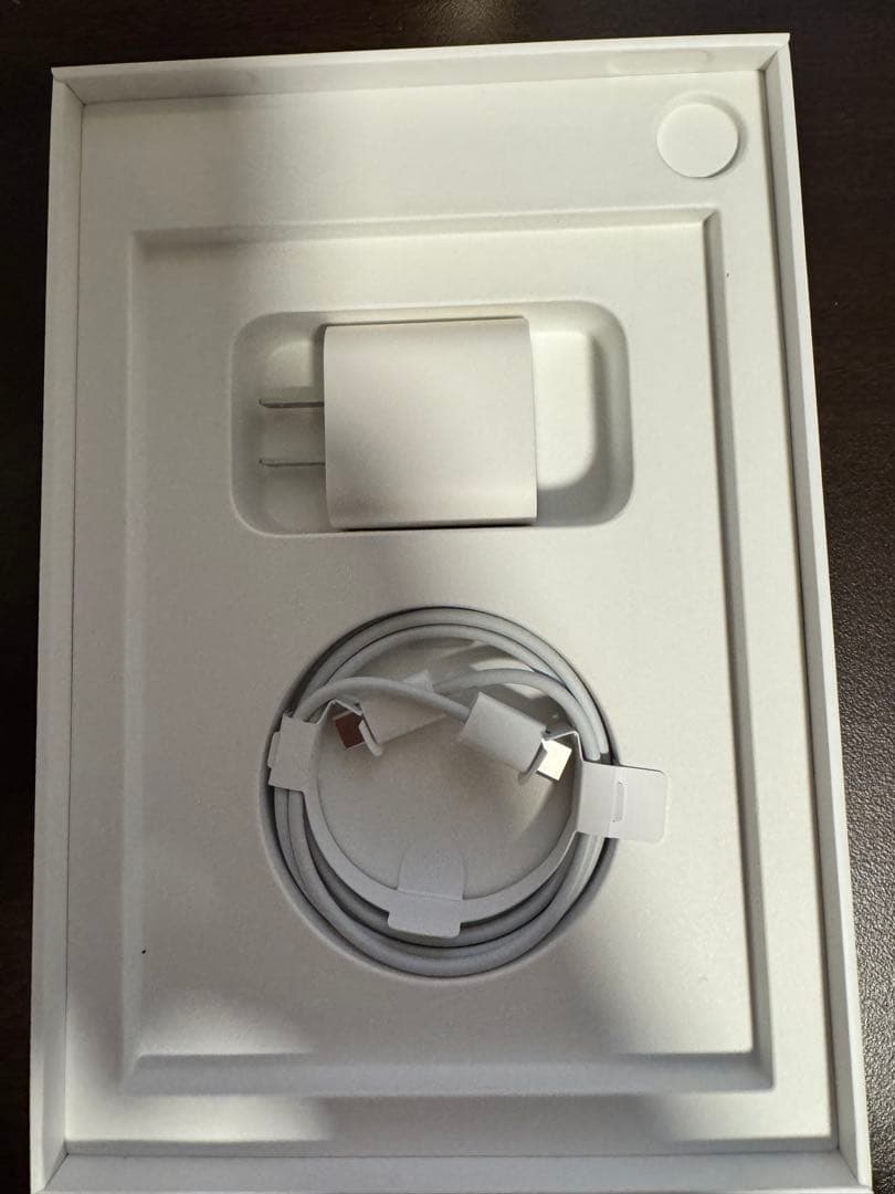 iPad mini 6世代 256GB セルラーモデル スターライト