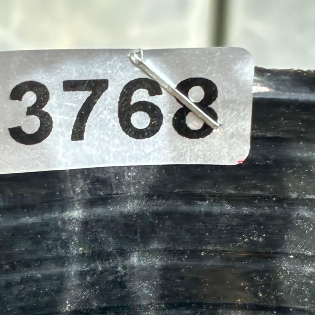 3768☘️３年間管理株☘️⭐️トルカータス交配⭐️小輪⭐️印象的⭐️広瀬園芸⭐️