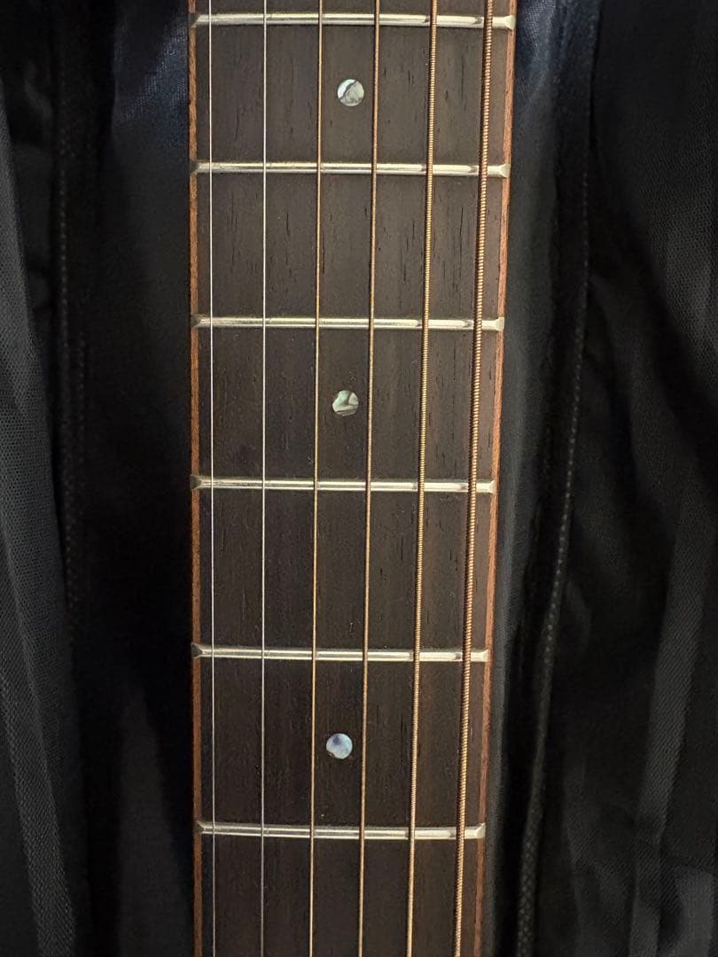 【BLAST】アコースティックギター　アコギ　ソフトケース付属