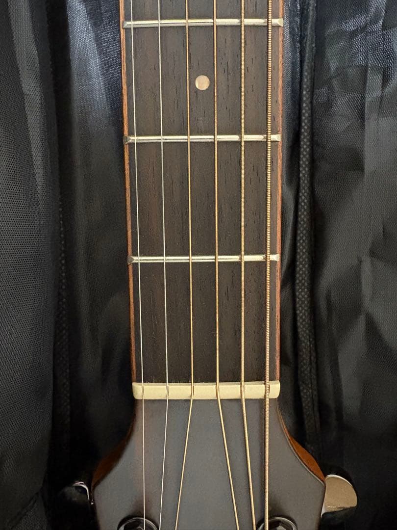 【BLAST】アコースティックギター　アコギ　ソフトケース付属
