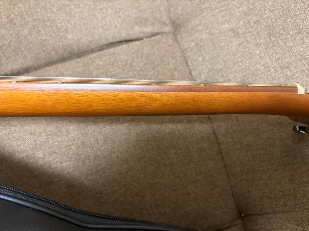 【BLAST】アコースティックギター　アコギ　ソフトケース付属