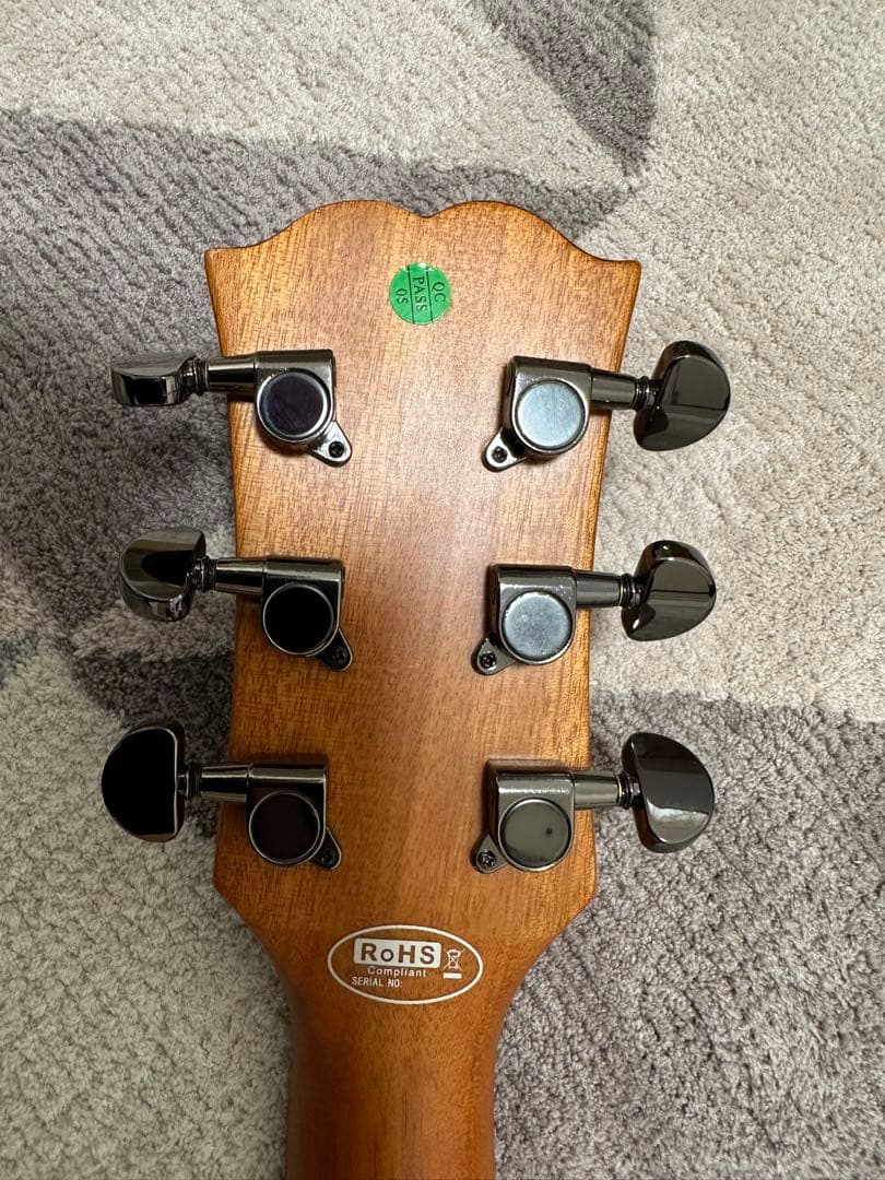 【BLAST】アコースティックギター　アコギ　ソフトケース付属