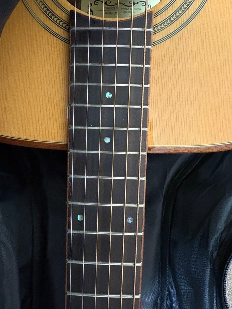 【BLAST】アコースティックギター　アコギ　ソフトケース付属