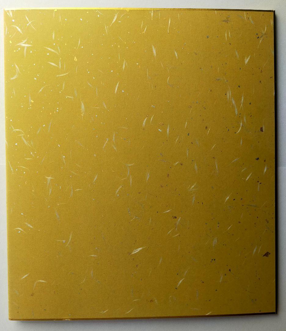 【真筆一点物】双龍図 - 昇運黒龍（二つ折り大色紙/筆ペン一発描き/肉筆画）