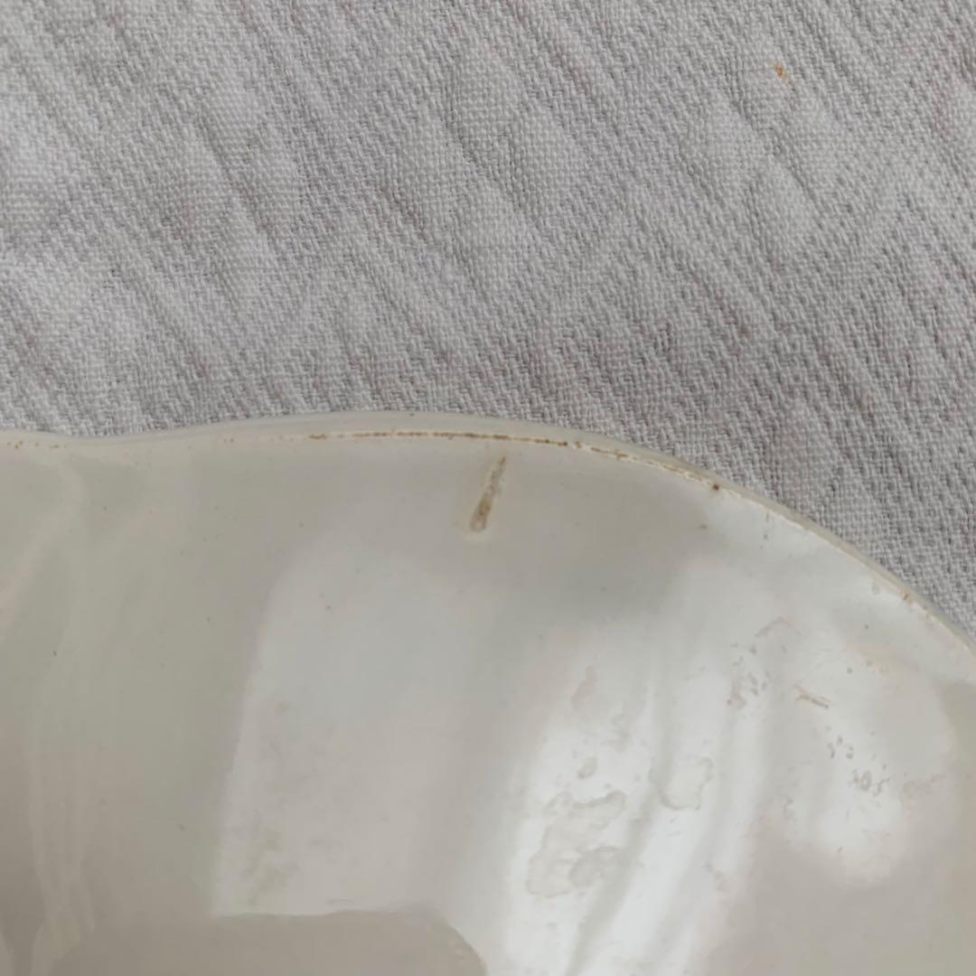 サラン SALINS 葡萄レリーフ