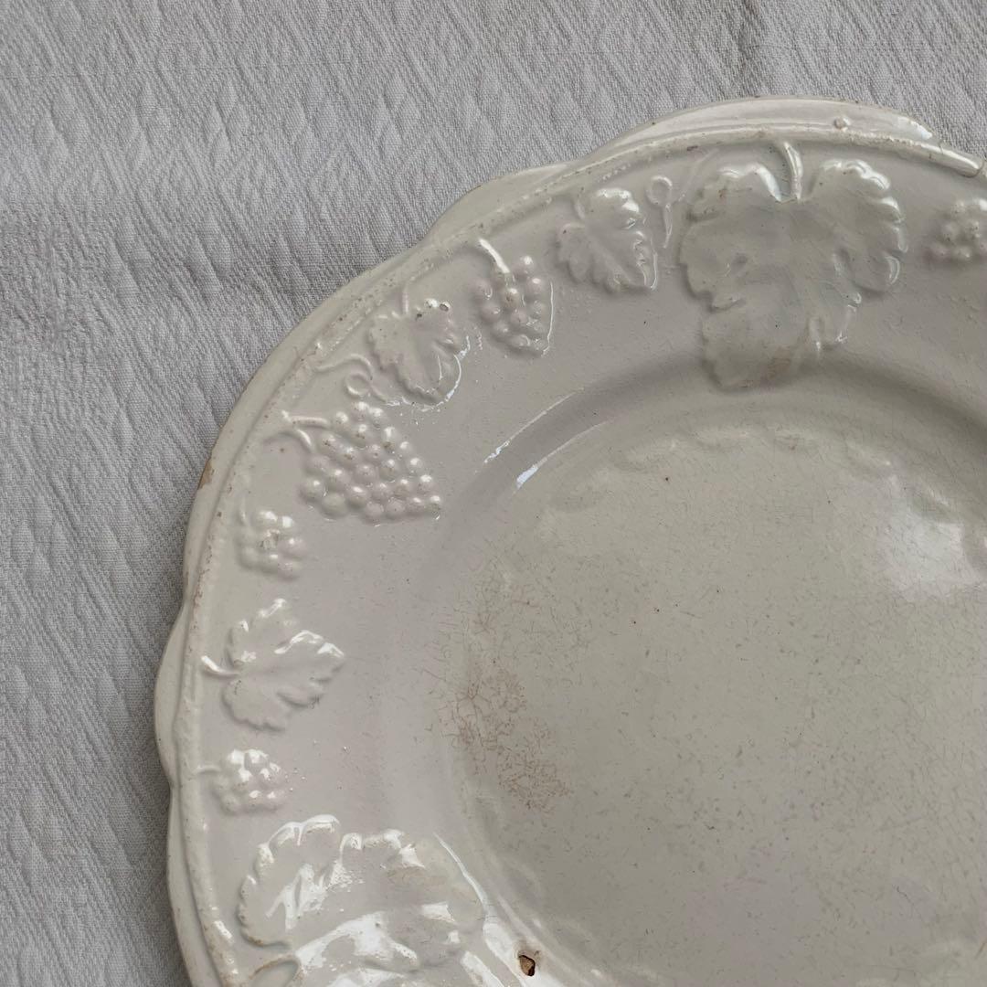 サラン SALINS 葡萄レリーフ