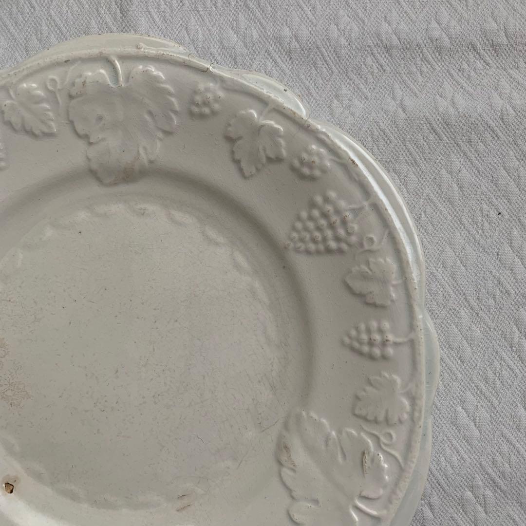 サラン SALINS 葡萄レリーフ