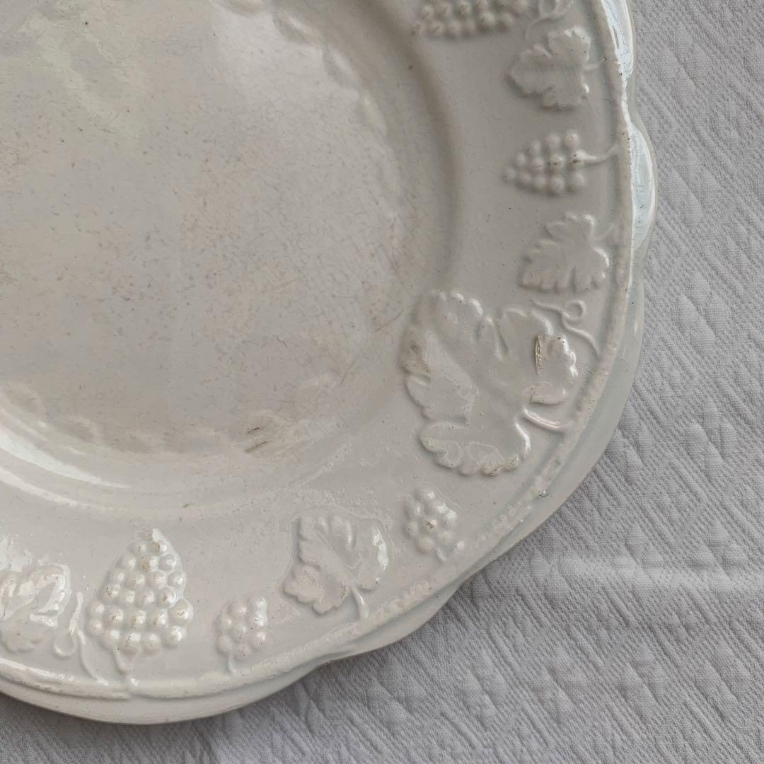 サラン SALINS 葡萄レリーフ