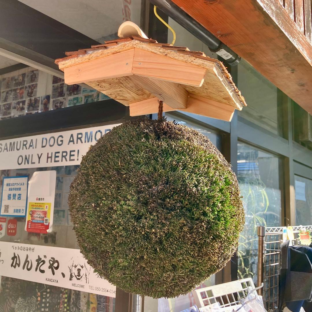 杉玉【屋根付き】④