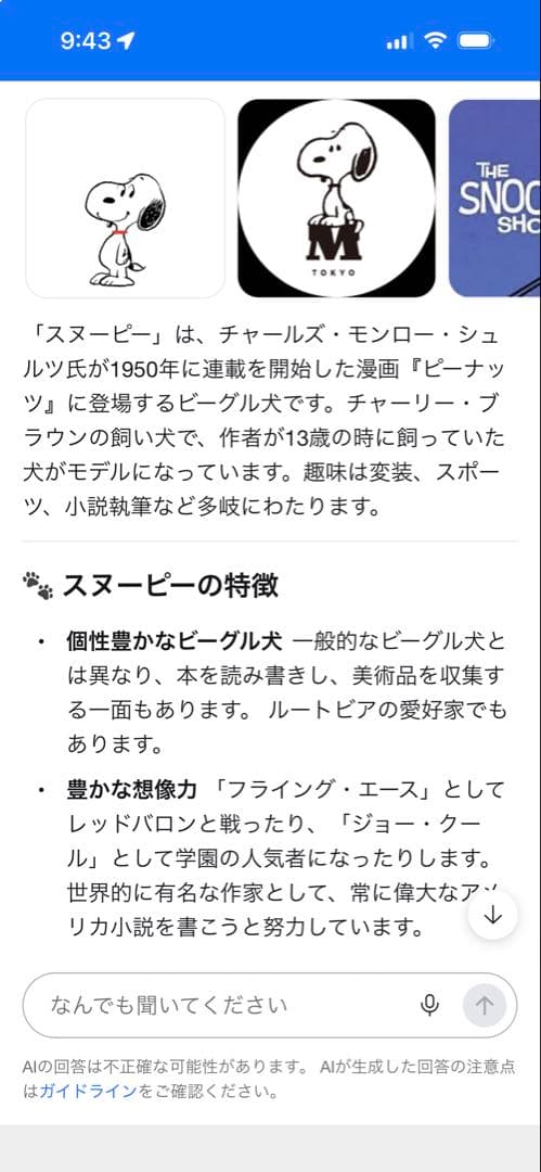 【新品】DEATH NYC 「SNOOPYと仲間達」(ジェットコースター)