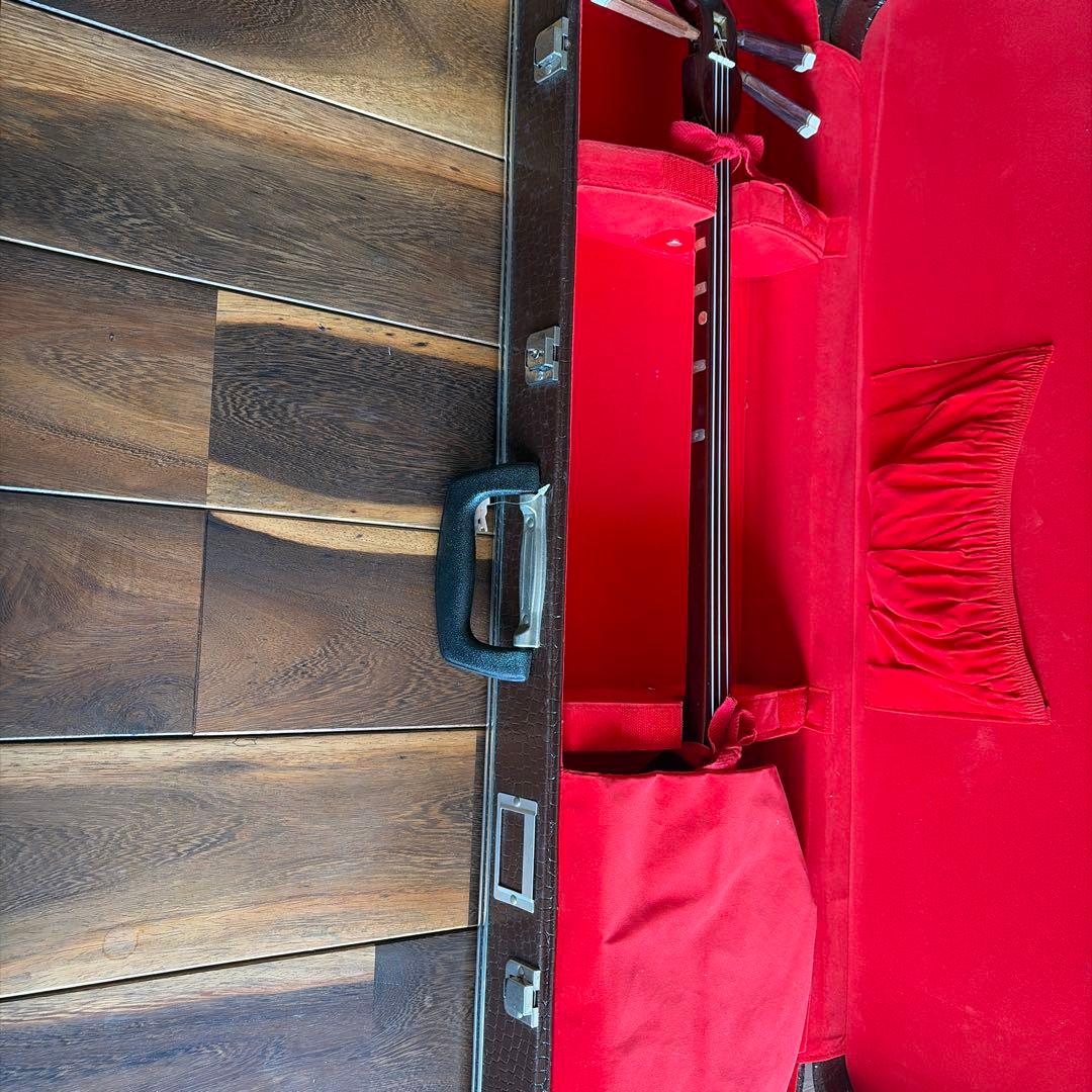 三線本体 ヘビ皮製 3弦 専用ケース付き