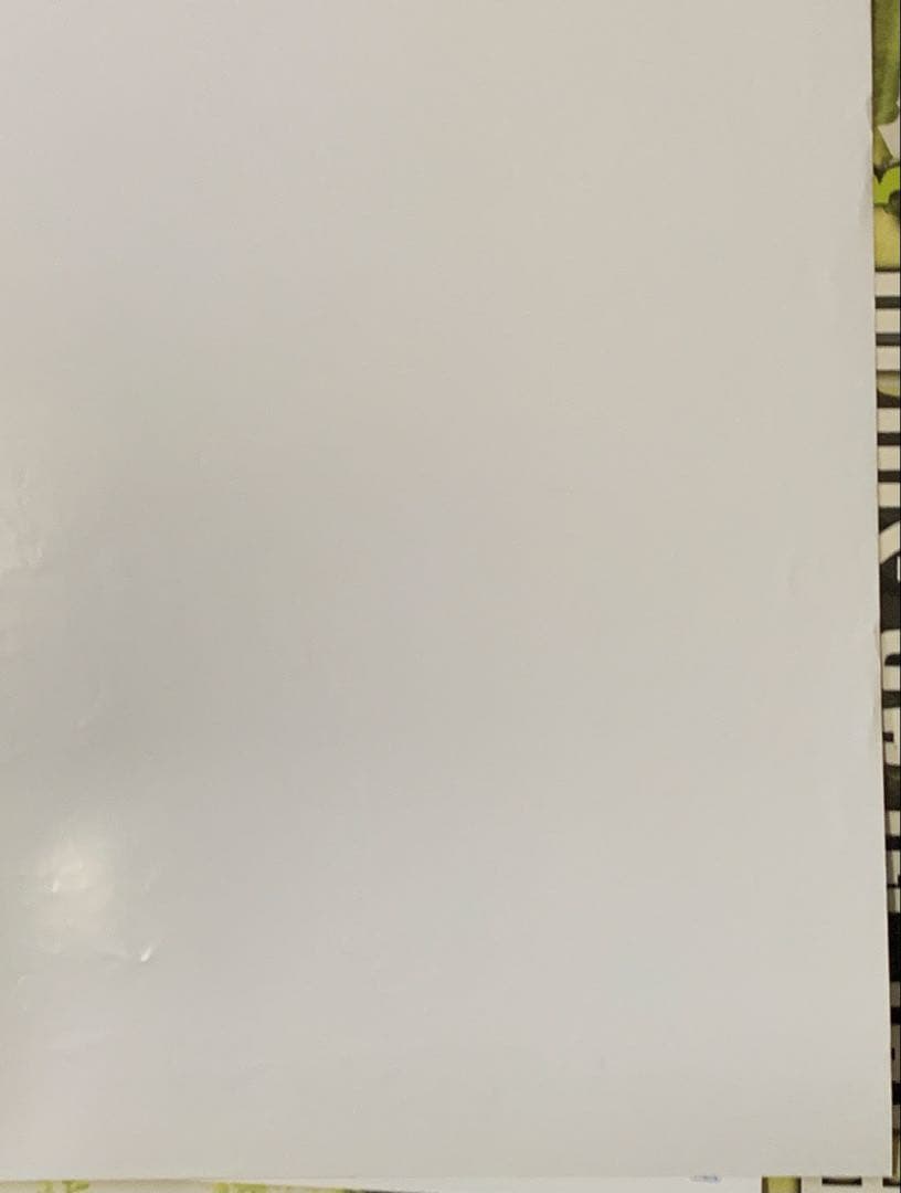 【B2・フチ表面痛みあり】 ポケモン スカーレット バイオレット 販促 ポスター