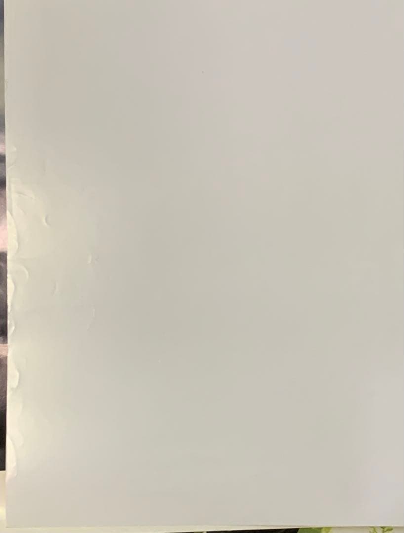 【B2・フチ表面痛みあり】 ポケモン スカーレット バイオレット 販促 ポスター