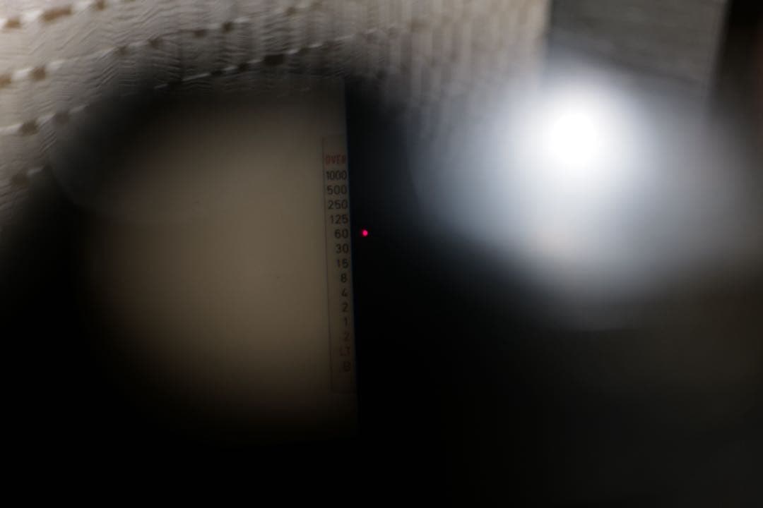 CONTAX 137MD (完全動作品, 革張替済)