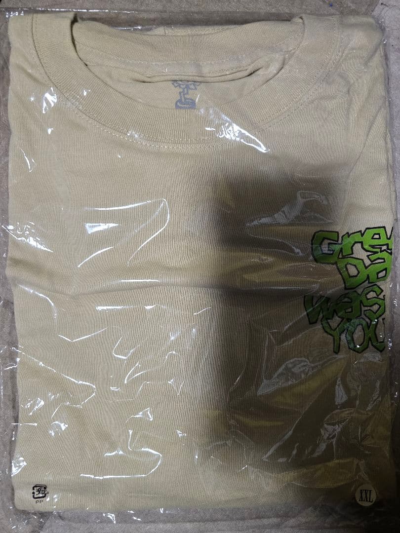 GREEN DAY x WASTED YOUTH Tシャツ XXL