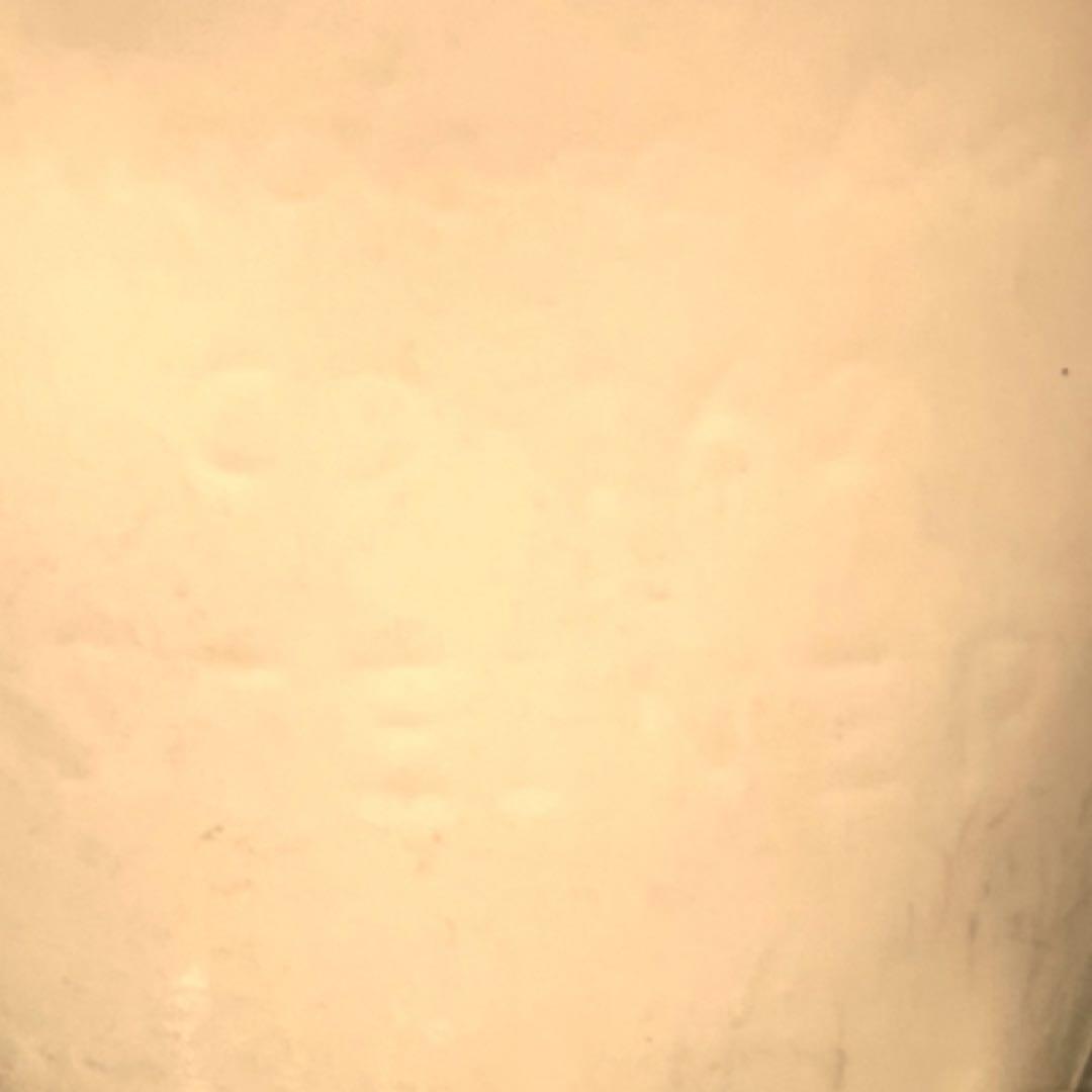 ぽてうさ ビスクドール スタイナー Pump up the power