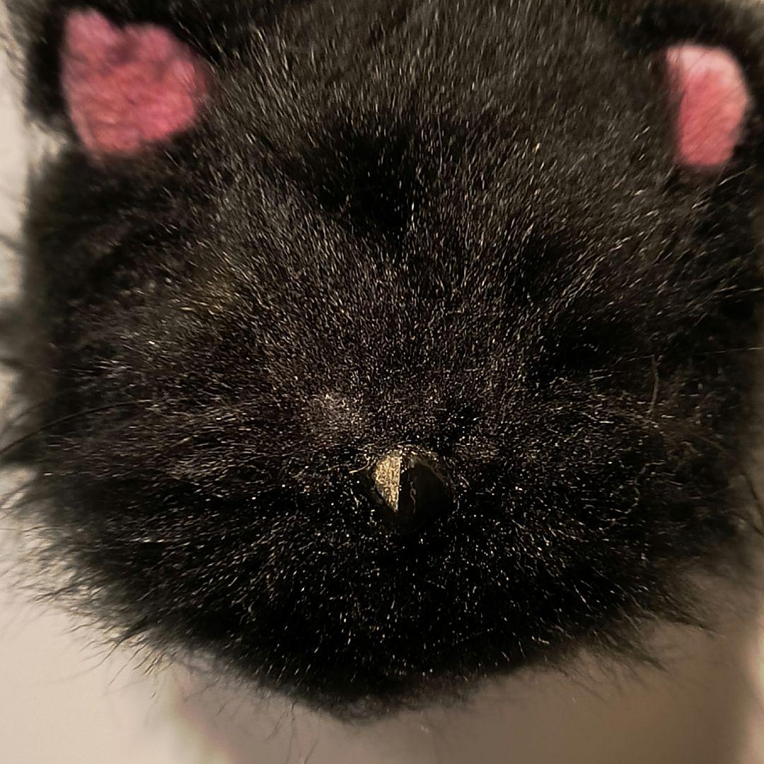 猫　黒猫　アートドール　キーホルダー　細目