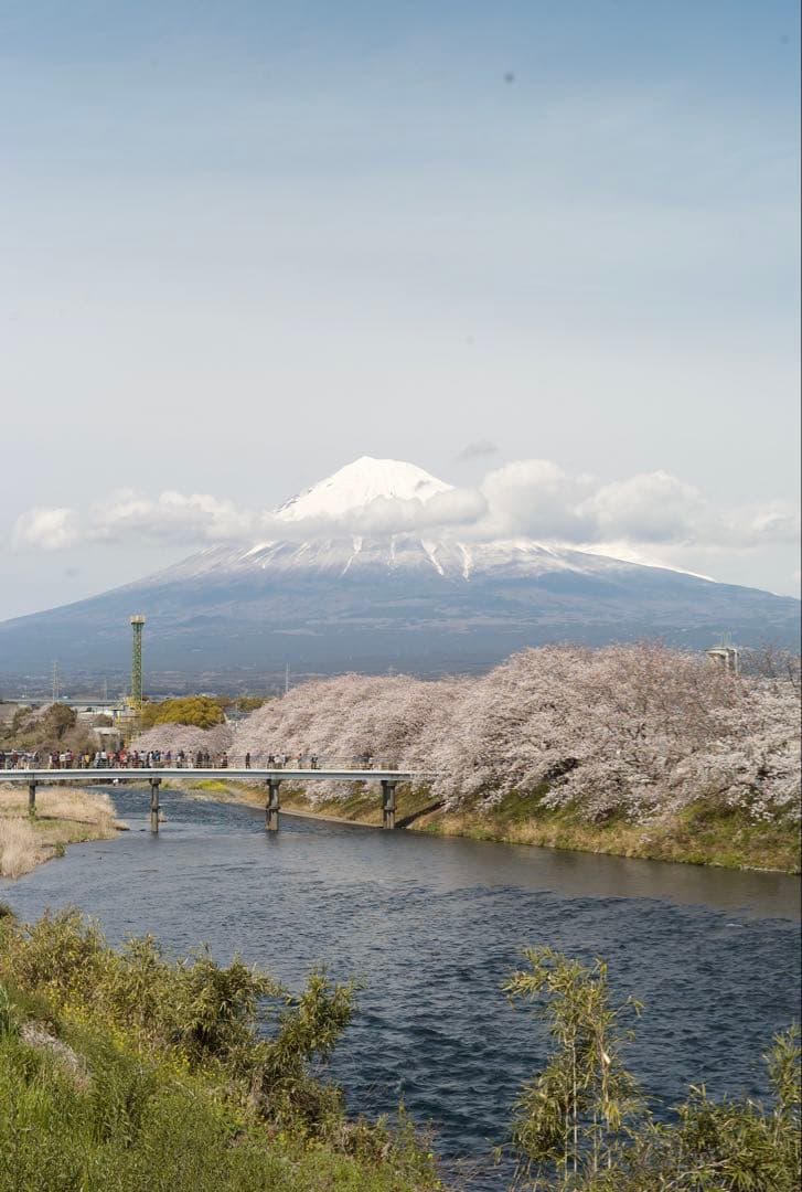 【作例多数あり】NOKTON classic 40mm f1.4 SC
