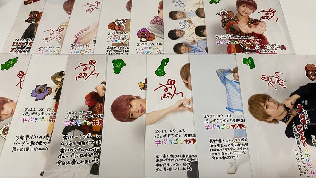 パンダドラゴン ぱっち