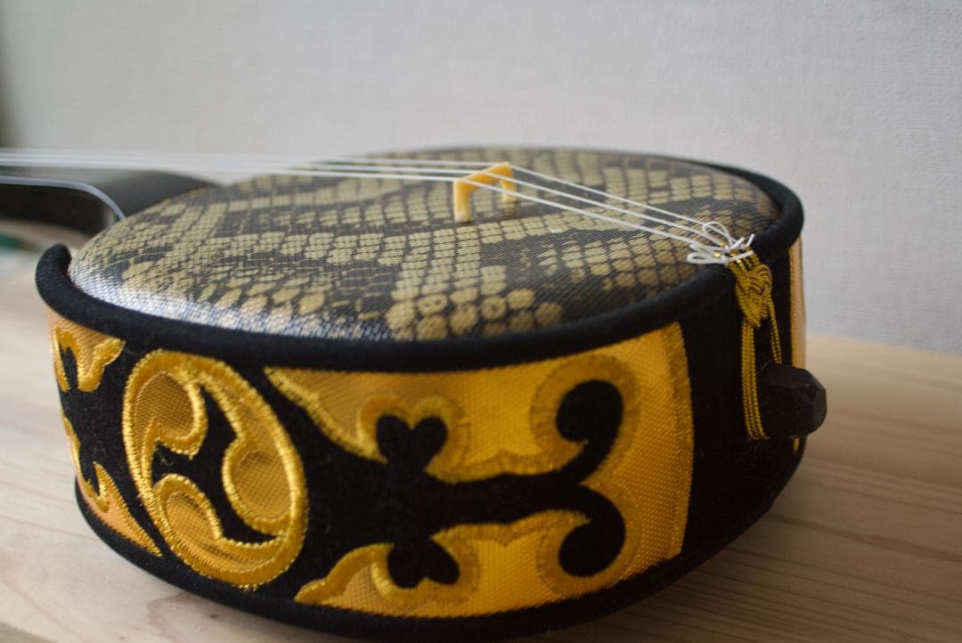 三線 沖縄 初心者セット 人工皮 ケース、爪、教本などset 三味線　送料込