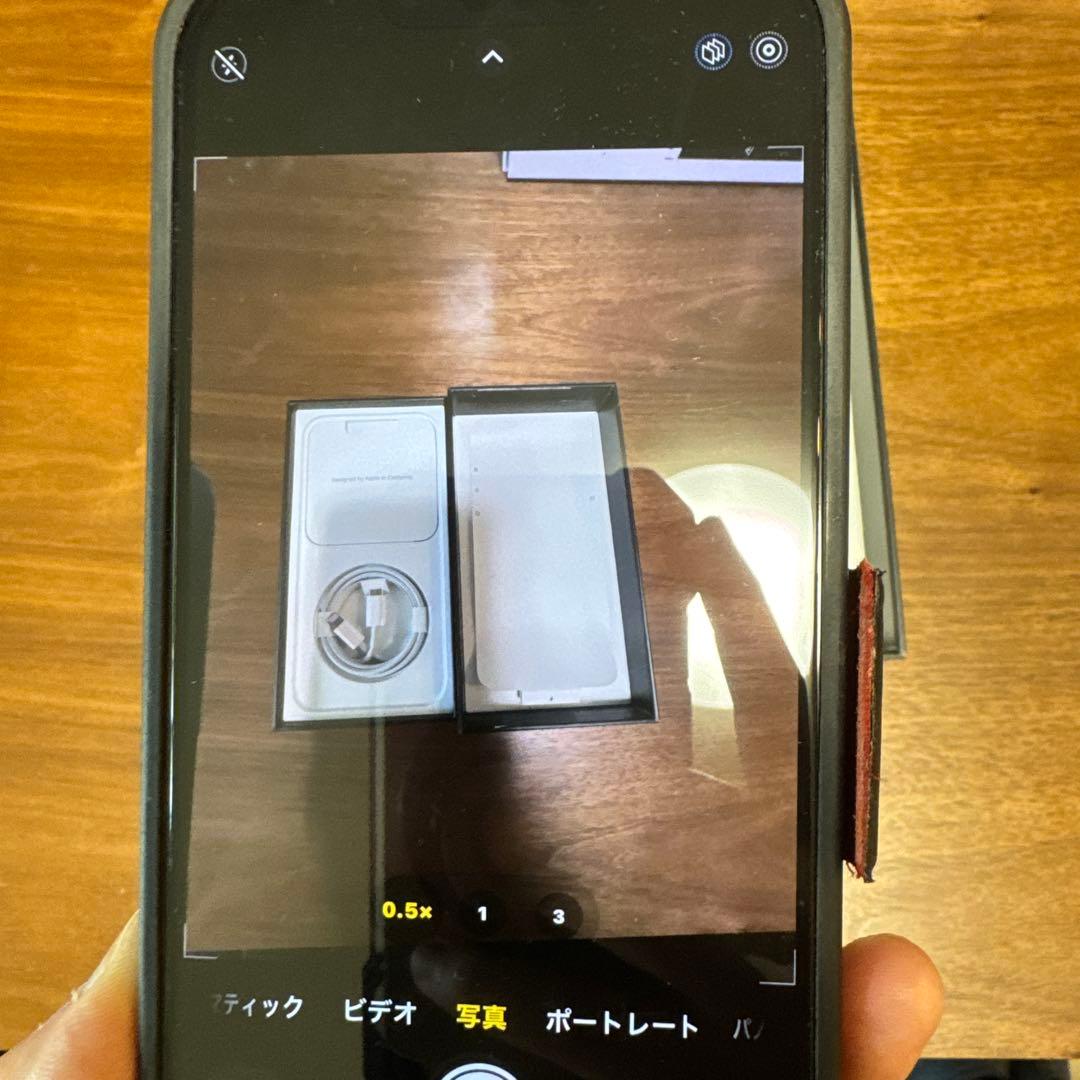 【バッテリー95%】 iPhone 13 Pro Max 256GB（おまけ付）