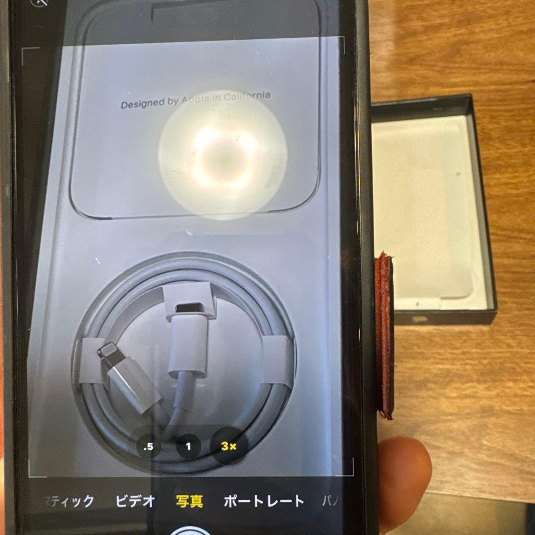 【バッテリー95%】 iPhone 13 Pro Max 256GB（おまけ付）