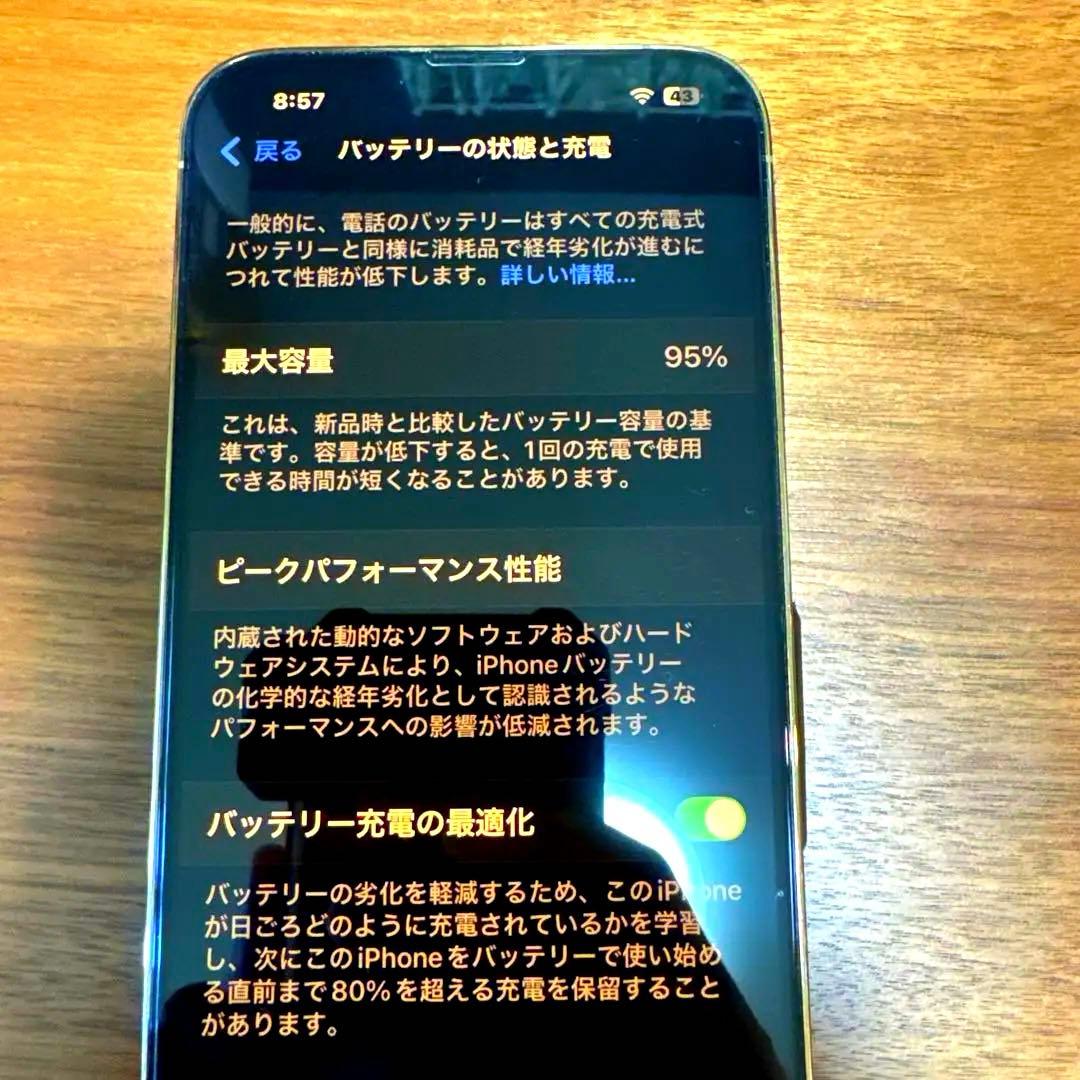 【バッテリー95%】 iPhone 13 Pro Max 256GB（おまけ付）