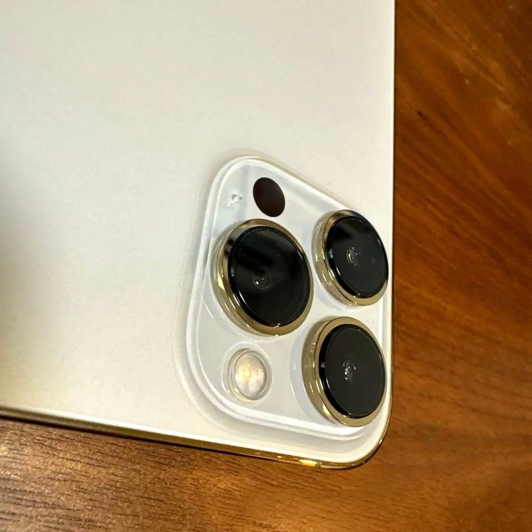 【バッテリー95%】 iPhone 13 Pro Max 256GB（おまけ付）