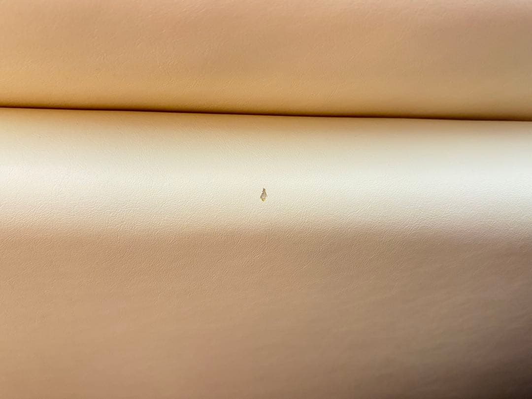 NOYES NewSugar Standard 3人掛けソファ オットマン付