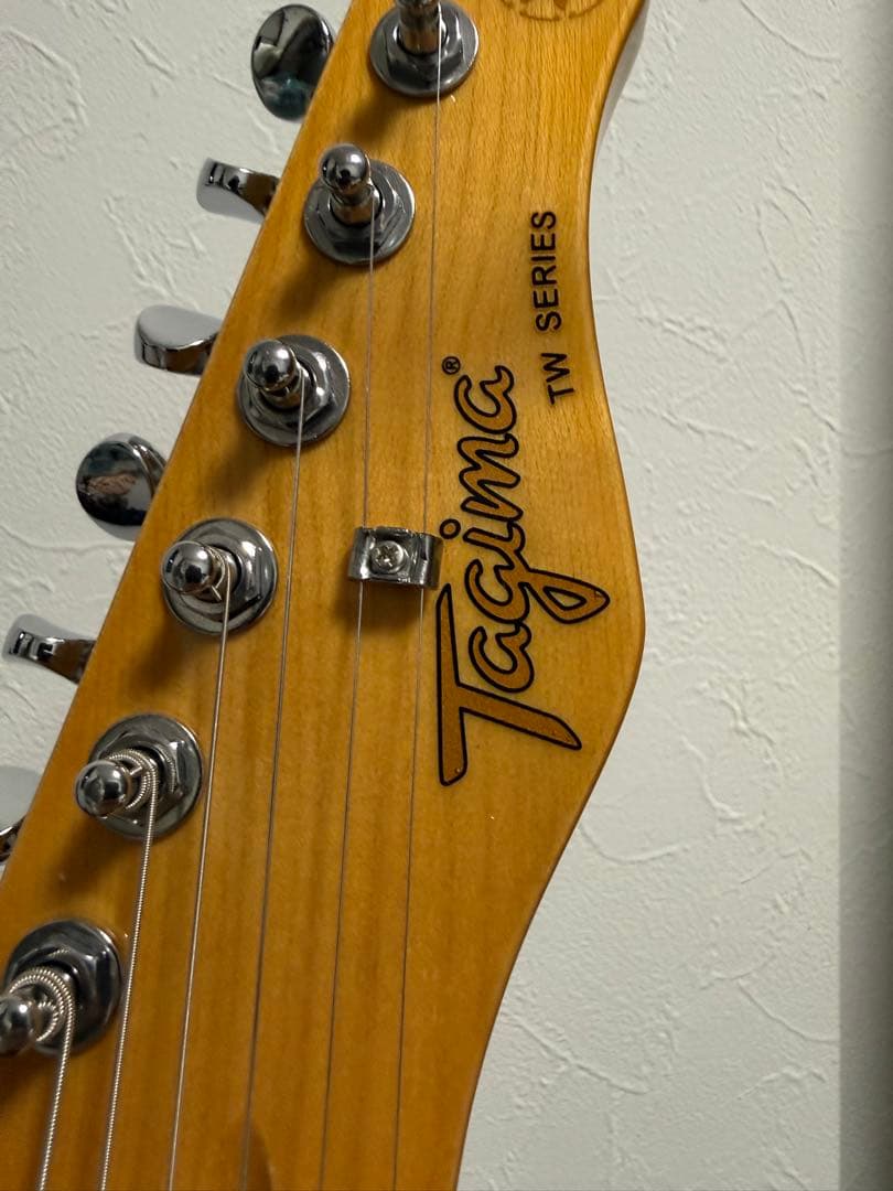 ギター Tagima guitar tw-55