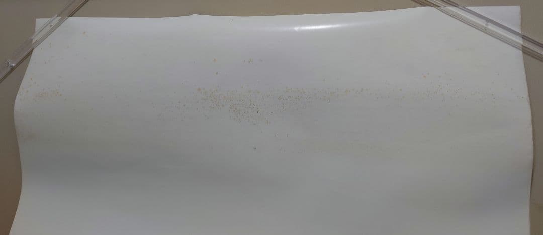 ウルトラマン　販促用　ポスター　デジタルウルトラシリーズ　B2サイズ　円谷プロ