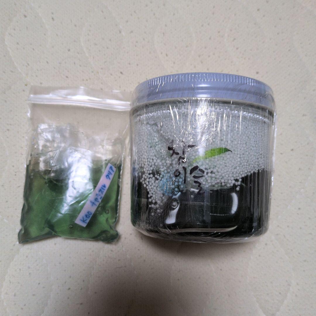 新品未使用　KOO Slime様　スライム