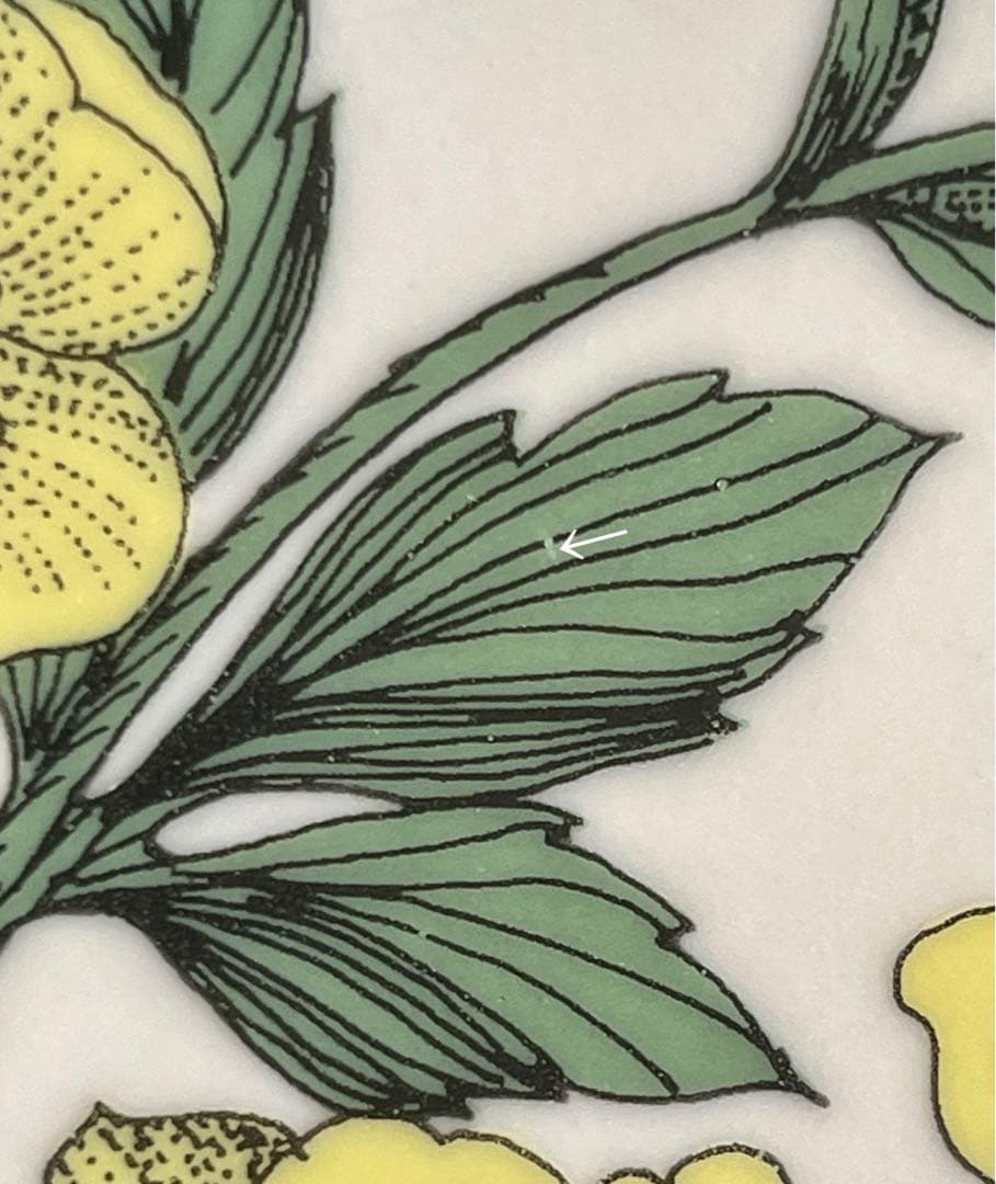 ARABIA エステリ・トムラ ボタニカ \"Ranunculus acris\"