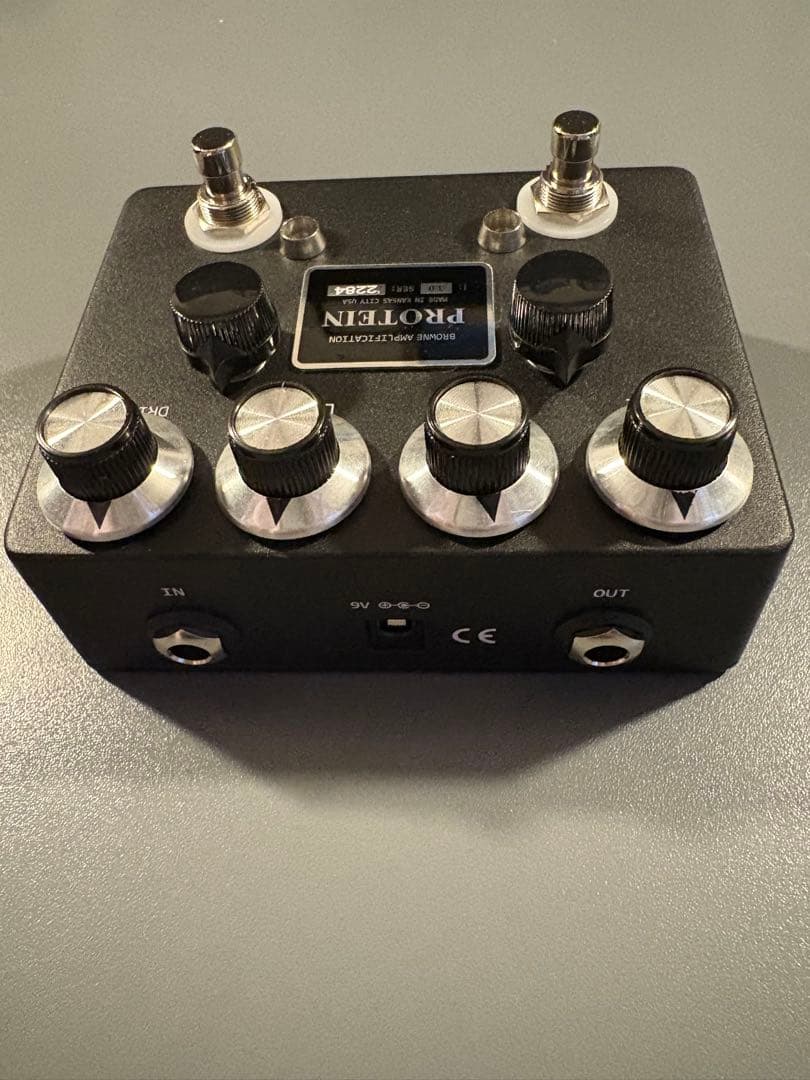 Browne Amplification PROTEIN クローン