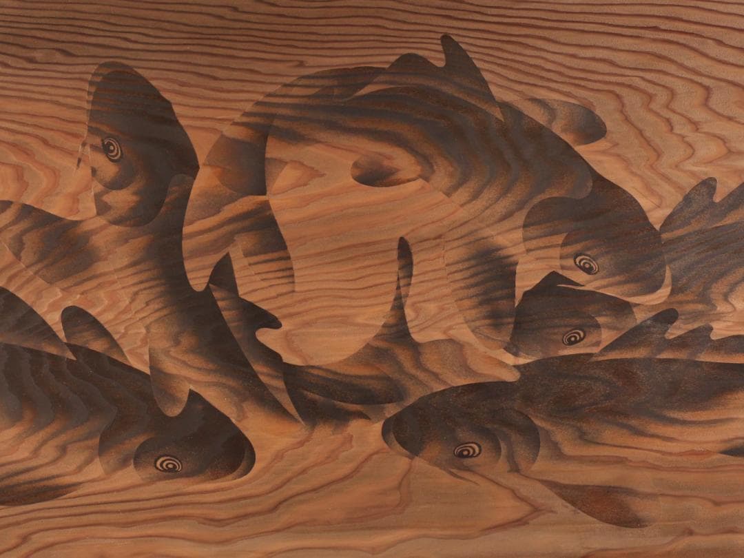 【真作】　BK279　土居覚洞 「 雲杢彫　鯉図 」　木彫　彫刻　額装