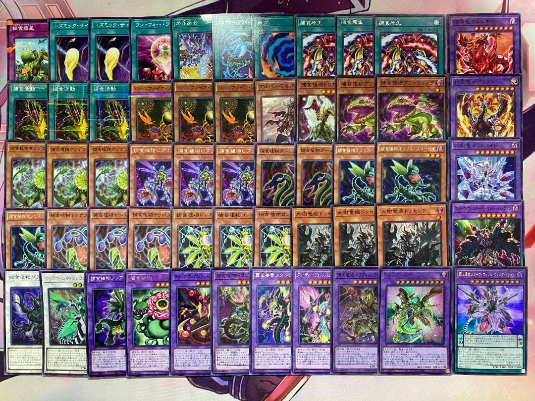 002　遊戯王　烙印捕食植物　プレデタープランツ　本格構築済みデッキ　ドラセレア