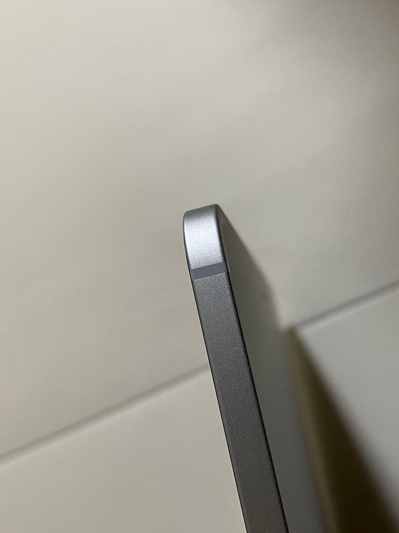 Apple iPad Pro 12.9インチ256GB 第5世代 SIMフリー