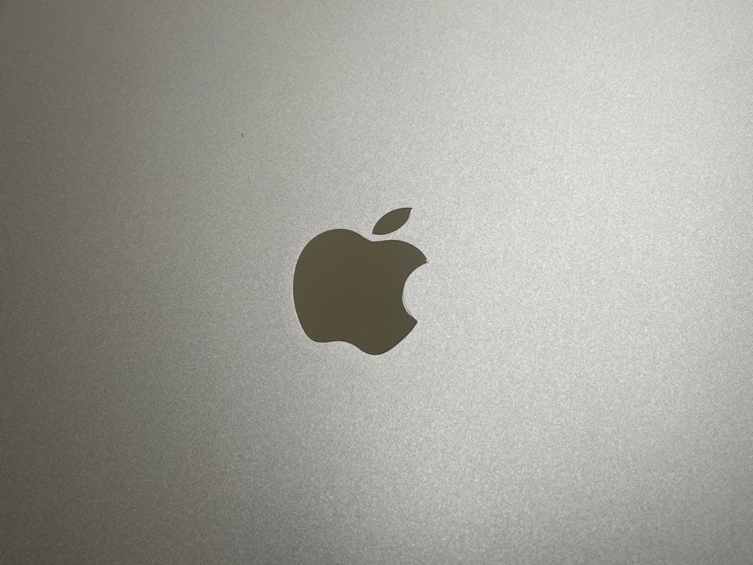 Apple iPad Pro 12.9インチ256GB 第5世代 SIMフリー