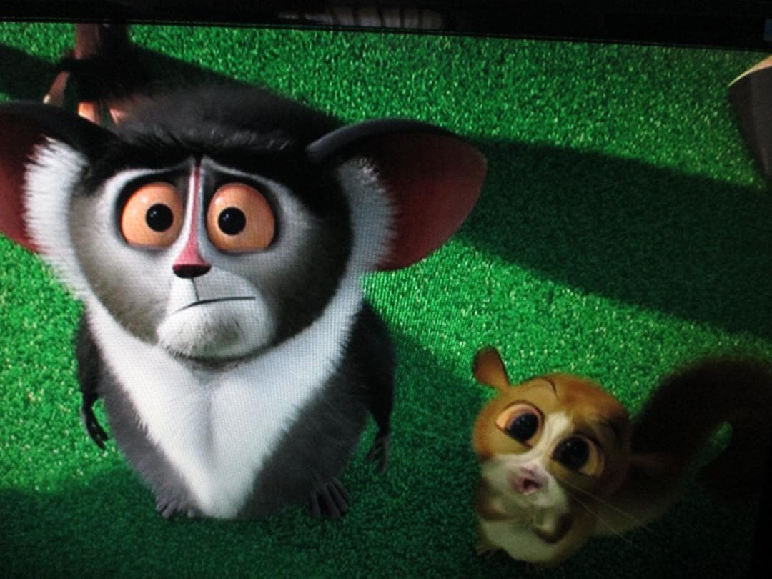 動作良好☆東芝 2チューナー BDレコーダー DBR-Z310 2013年製