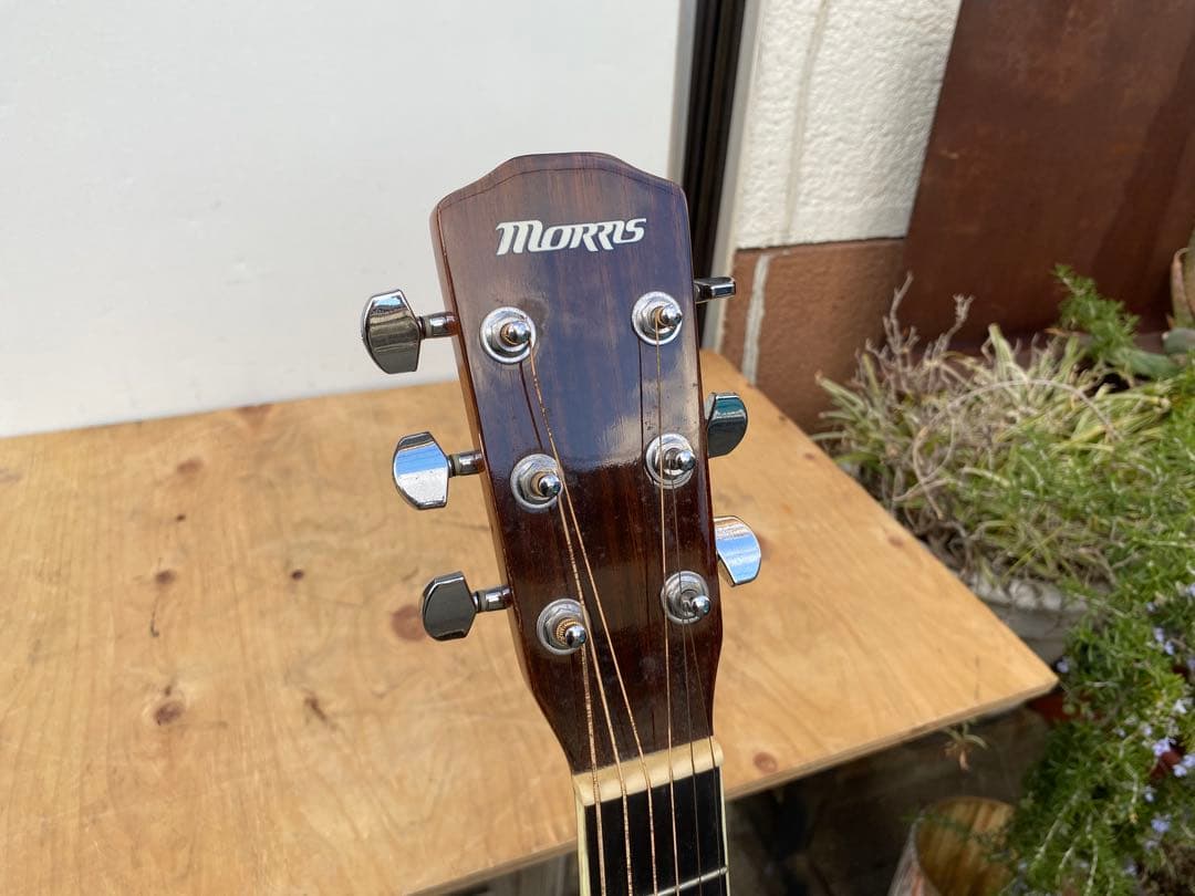 morris r-401 ts エレアコ　アコースティックギター　ソフトケース